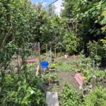 Gemüsegarten